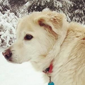 Meet your Posher, Kathy